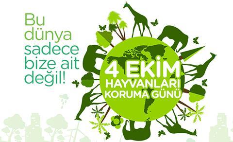 4 Ekim Dünya Hayvanları Koruma Günü!