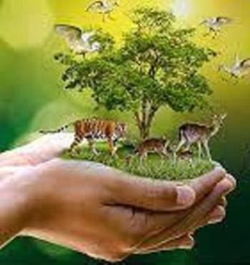 Bu Gün 4 Ekim Dünya Hayvanları Koruma Günü !!!